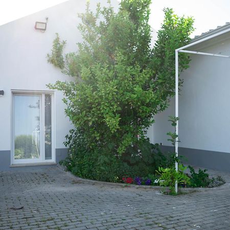 Alojamento Moinho D'Óbidos Kültér fotó